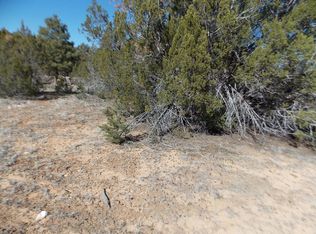 3143 Tonto Dr, Overgaard, AZ 85933
