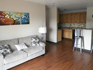 Efficiency, 1BA - 267SF
