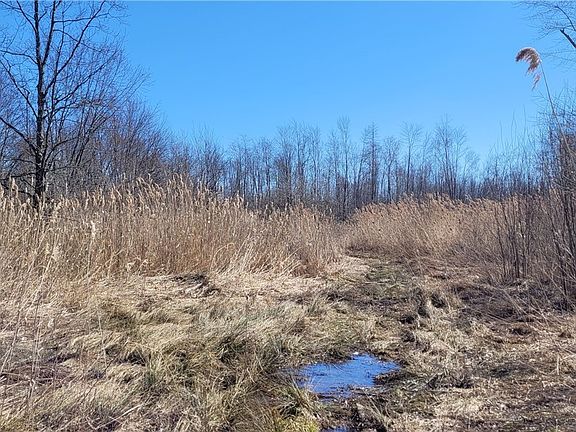 4th image of Clay Rd