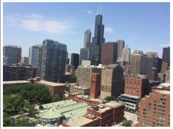 899 S Plymouth Ct APT 1701, Chicago, IL 60605