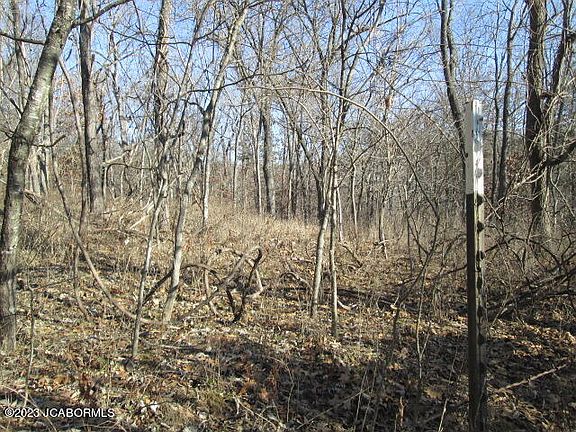 3rd image of County Road 397