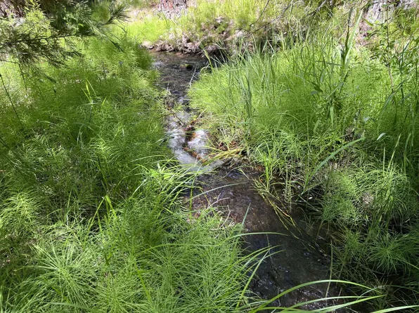 680-550 Butte Creek Rd, Adin, CA 96006