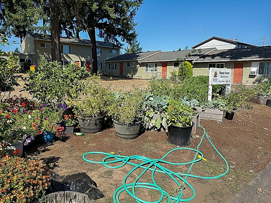 Beyer Court — Photo 4