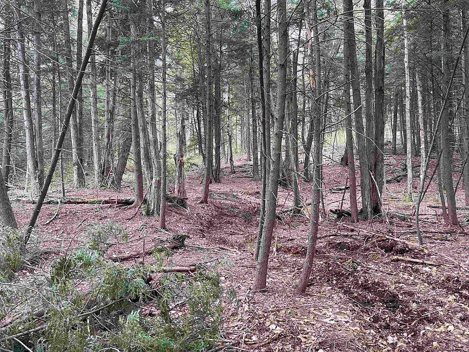 2nd image of 0 Bugbee Road