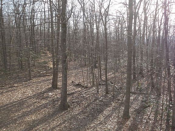 Wooded Acreage