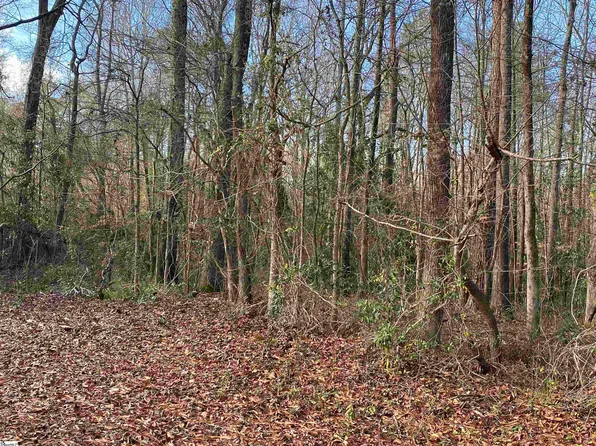 0 Leila St, Clinton, SC 29325