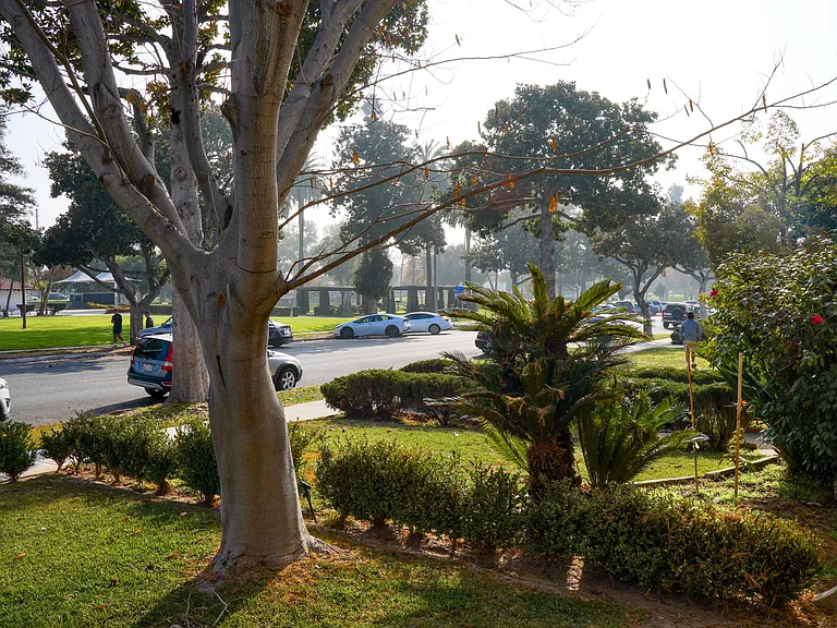 429 N Palm Ave #A — Photo 37