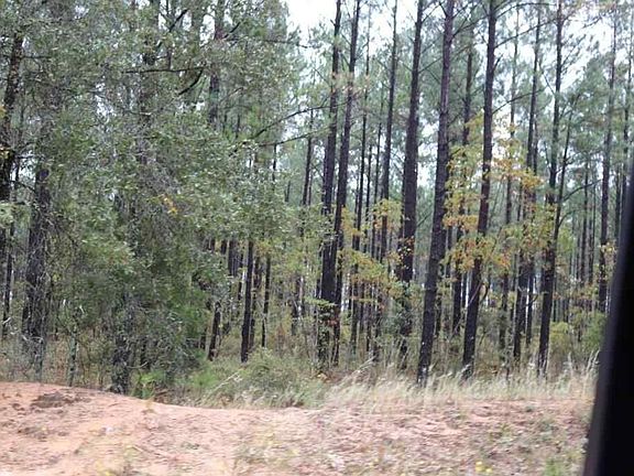 5th image of Johnson Cemetery Rd