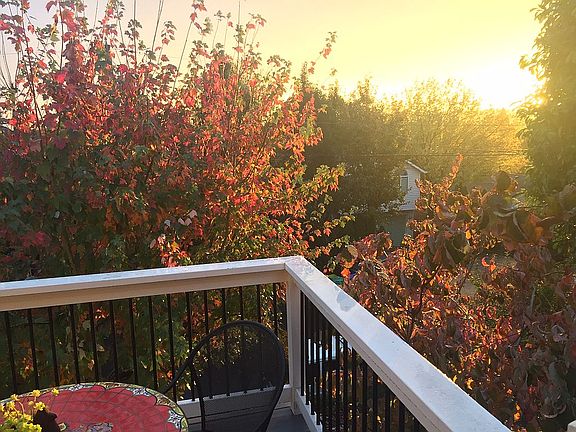 Front Porch View