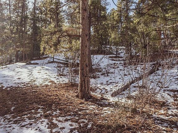 5th image of Gulch Road