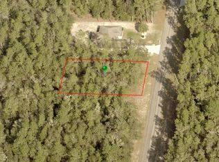 9862 N Caravel Ter, Citrus Springs, FL 34434