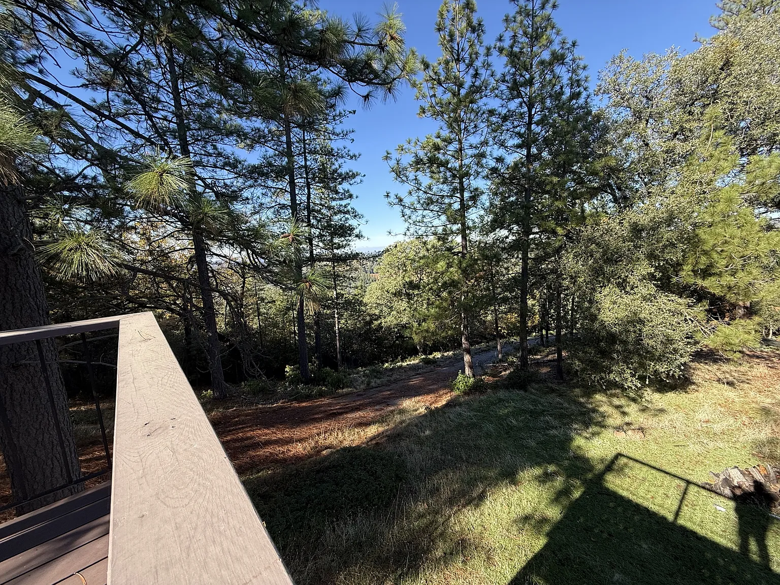 10201 Ponderosa Way - 1 — Photo 2