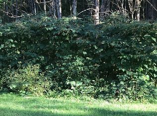 346 Poor Valley Rd, Saltville, VA 24370