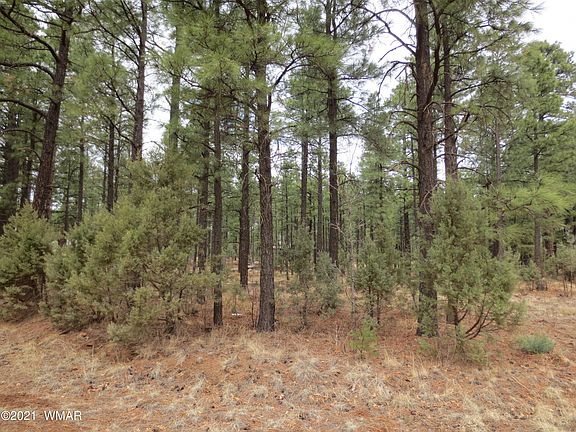 4th image of 2778 Canyon Ridge Rd