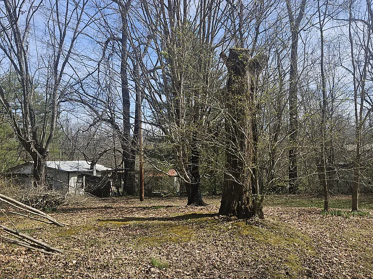 1312 Bristol Caverns Hwy — Photo 40