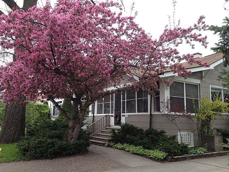 Great Curb Appeal