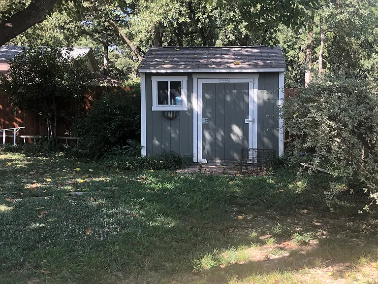 Shed - back yard