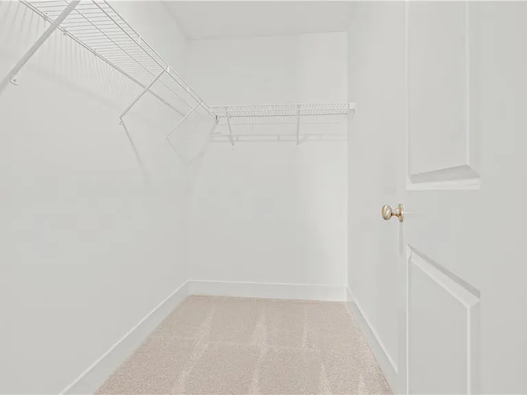 161 Auburn Valley Way — Photo 28