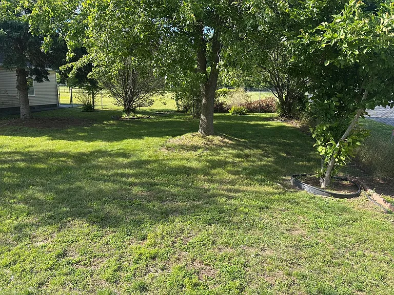 820 Mel Ave — Photo 10