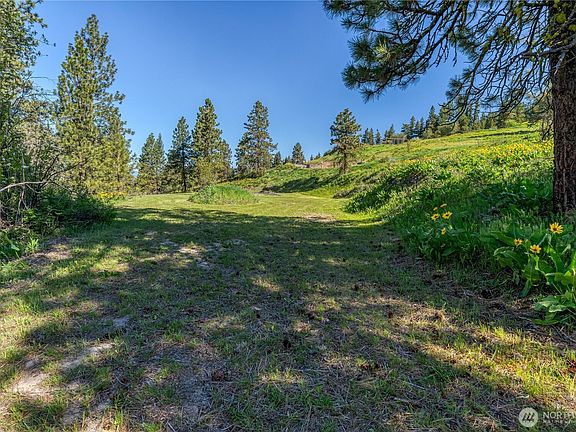 4th image of 0 Sky Meadows Road