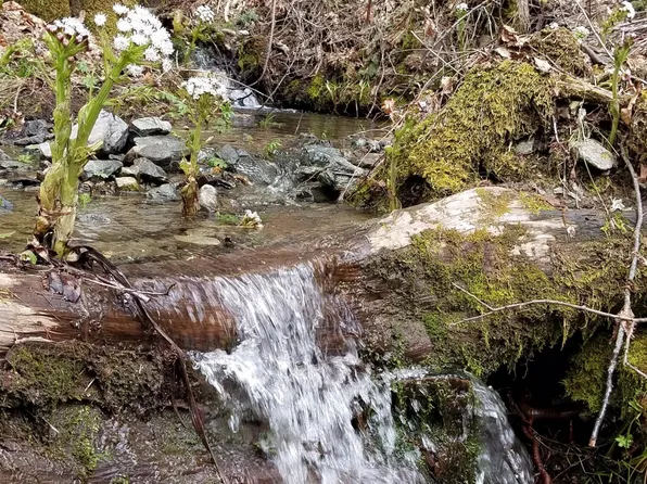 2905 Birdseye Creek Rd, Gold Hill, OR 97525