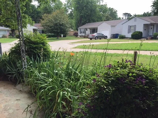 view from the front porch