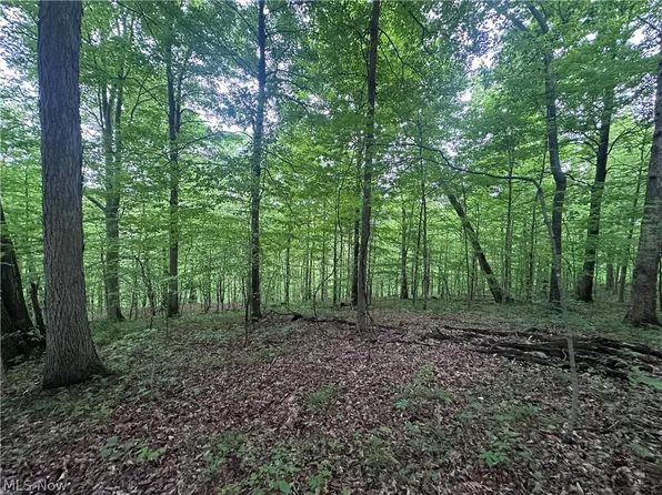 5935 N McCune Rd NW, McConnelsville, OH 43756