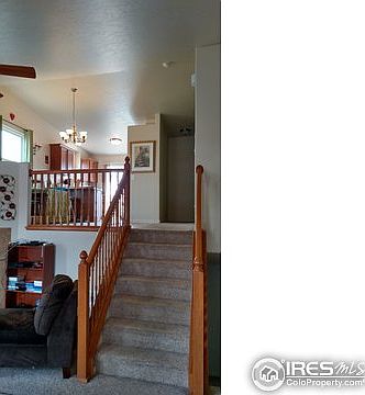 4th image of 3806 Longhorn Ln