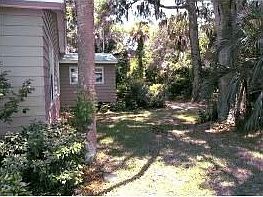Side yard with palms