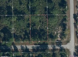 103 Conquest St NW, Lake Placid, FL 33852