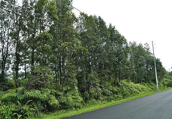 3rd image of 13-1138 Kahukai St Lot 60-A