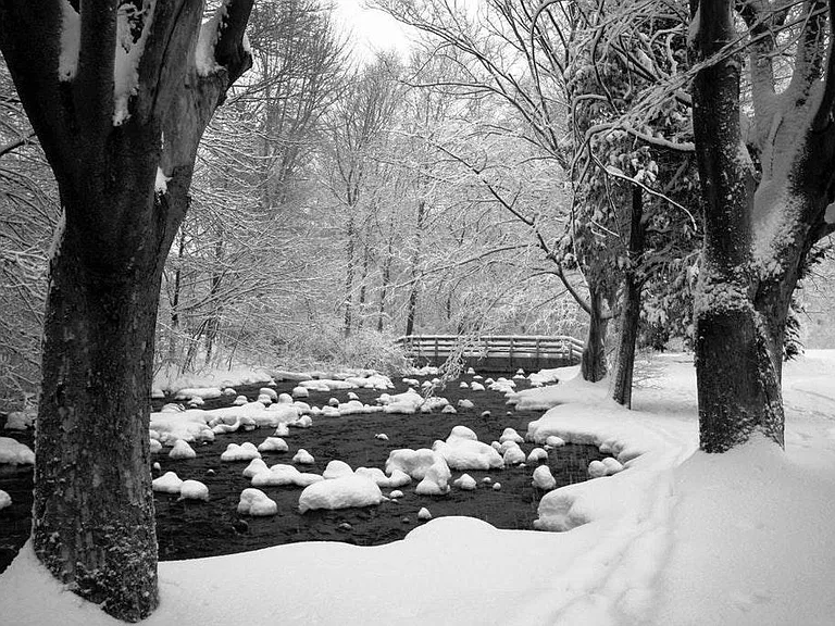 Beaverbrook reservation