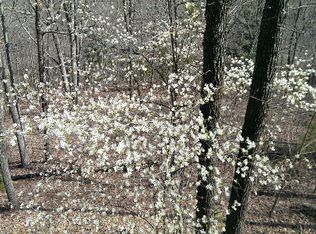 46 Ridgewood Dr, Blue Ridge, GA 30513