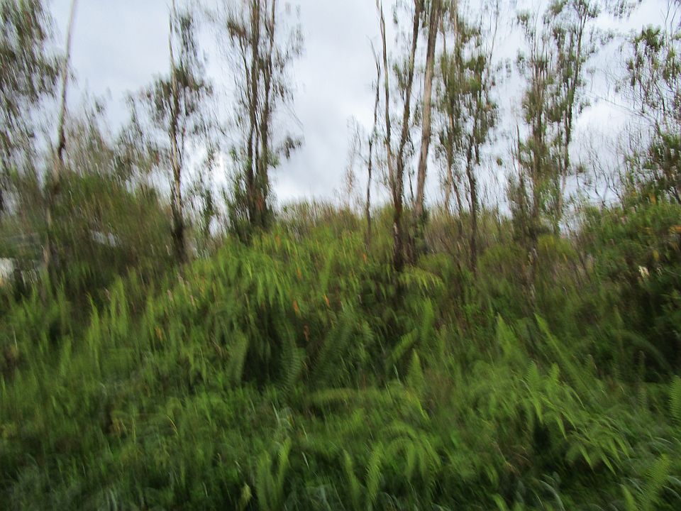 2nd image of 16-1948 Sandalwood Ct Lot 4