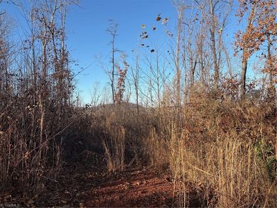 TRACT 5 Gallimore Dairy Rd Lot 5, Denton, NC, 27239