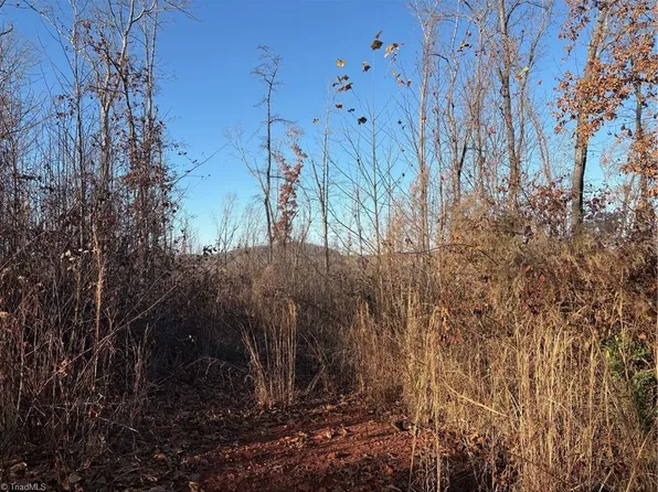 TRACT 5 Gallimore Dairy Rd Lot 5, Denton, NC 27239