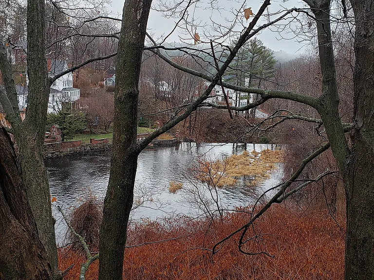6 Elm St #5 — Photo 2