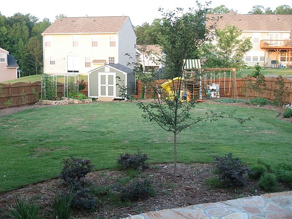 Backyard, Garden, Shed, and Playground