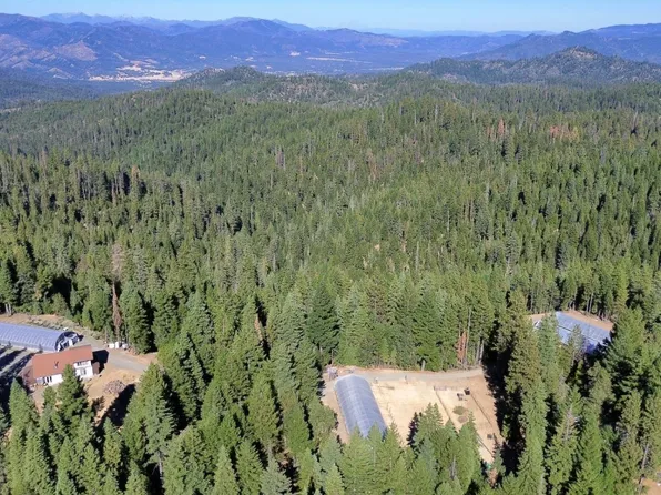 1050 Rowdy Bear Rd, Hayfork, CA 96041