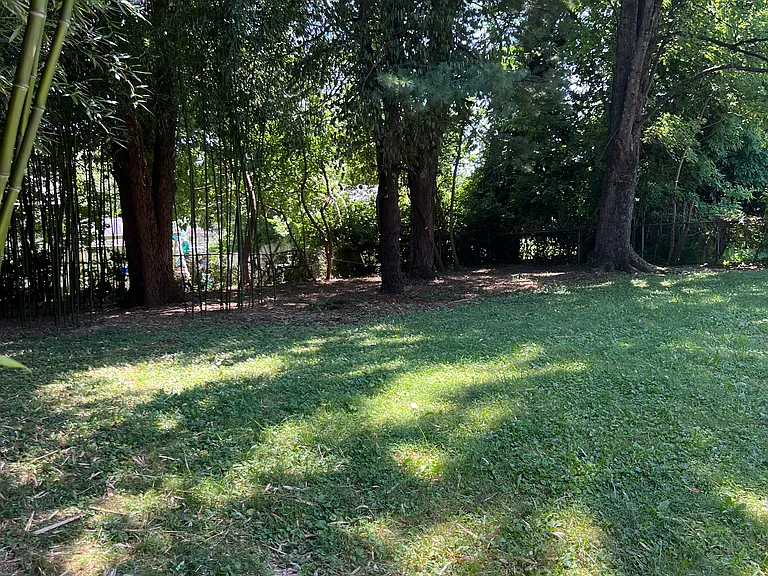 12020 Ancient Spring Dr — Photo 28