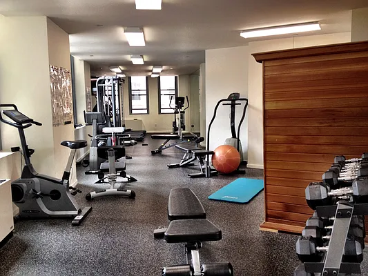 Rented by NY Living Solutions | media 16