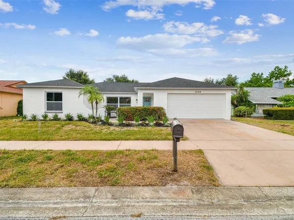 1339 Jambalana Dr, Holiday, FL 34691