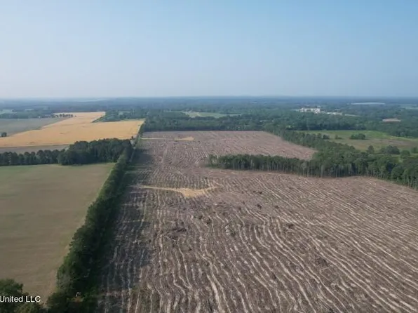 D Bates Rd, Morton, MS 39117