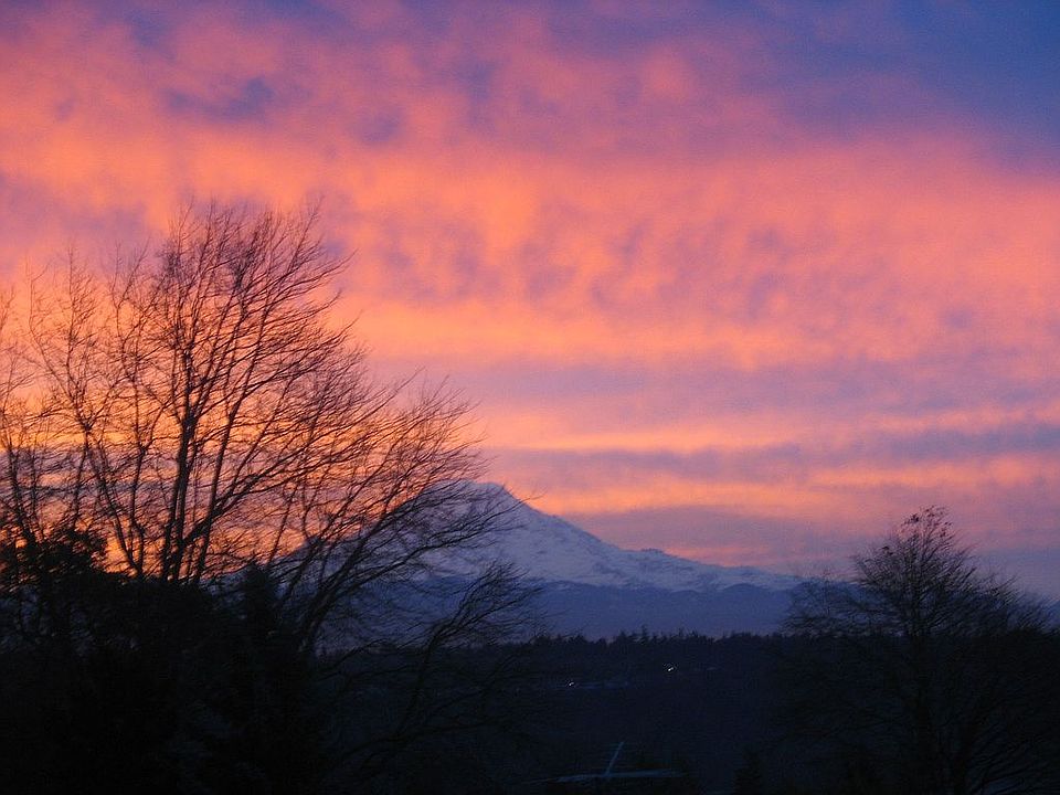 Mt. Rainier View