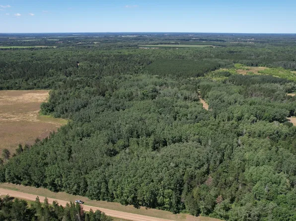 221 Avenue, Verndale, MN 56481
