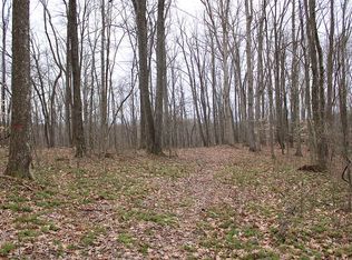 814 Grassy Run Rd, Buckhannon, WV 26201