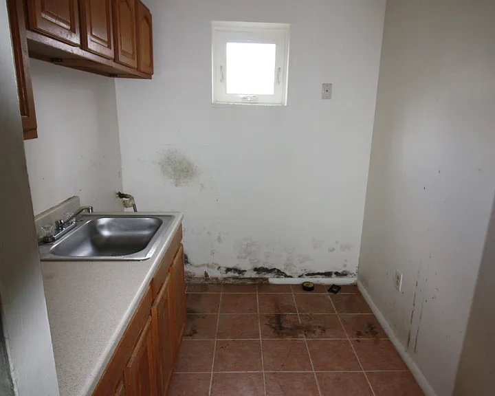 817 Gilrubin Ct — Photo 18