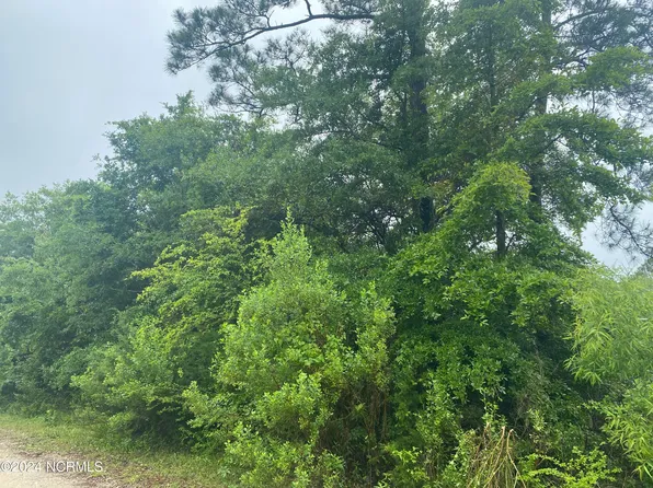 Lot 233 Westwood Road, Boiling Spring Lakes, NC 28461