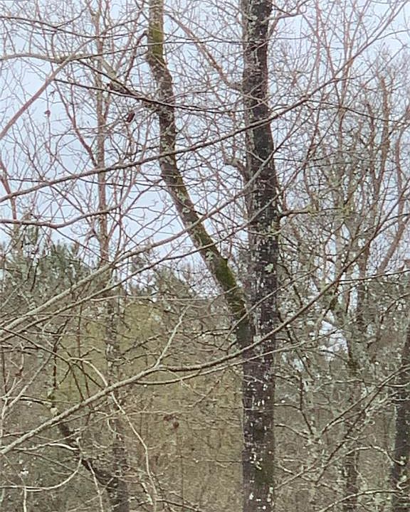 2nd image of 29500 Sorrel Ln