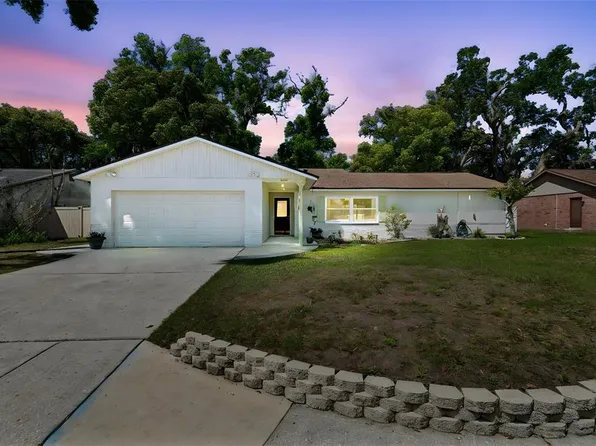 2505 Linden Tree St, Seffner, FL 33584